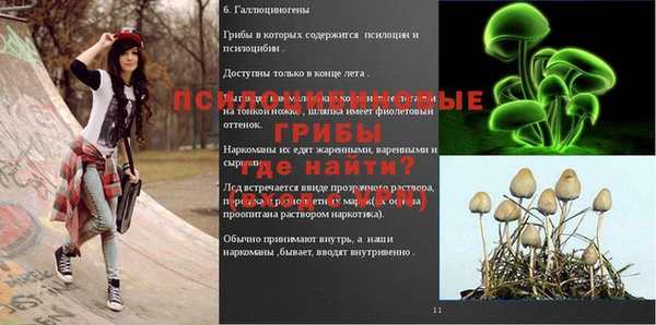 apvp Абаза
