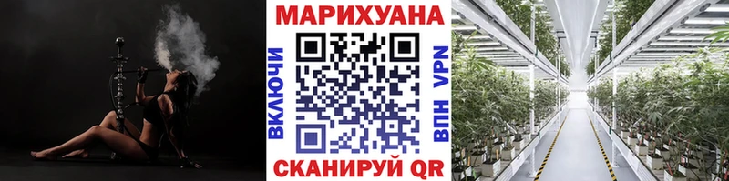 Шишки марихуана ГИДРОПОН  даркнет какой сайт  Обоянь 